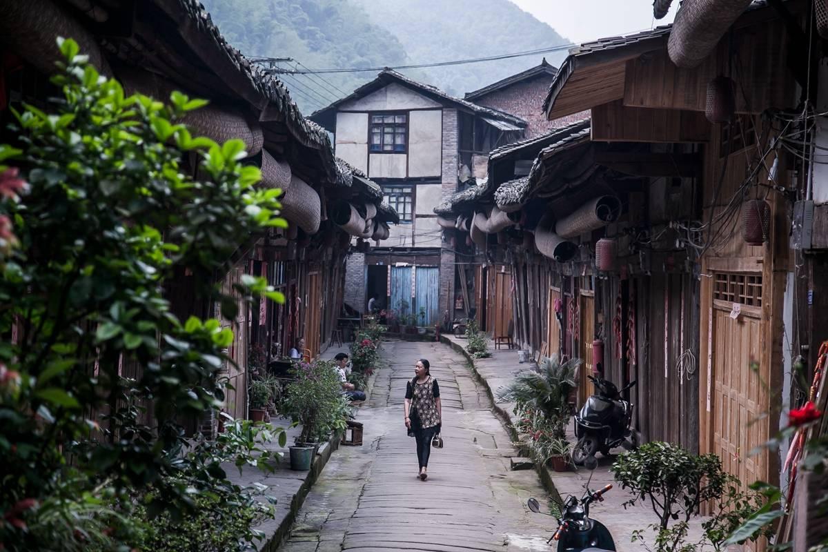 顶流来了！看白雪松如何把博物馆冷知识变城市热文化